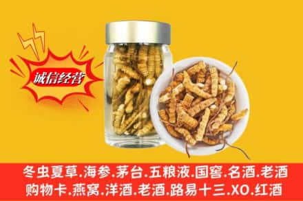 黔东南州麻江名酒回收散虫草.jpg